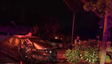 Car crashes into tree in Cape Coral, police investigate