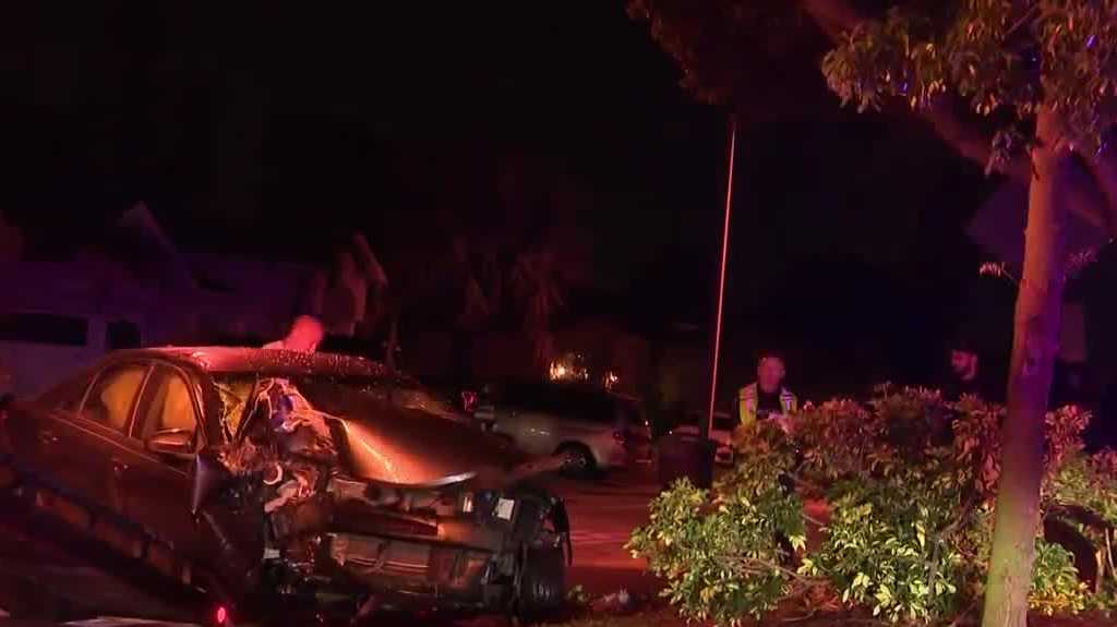 Car crashes into tree in Cape Coral, police investigate