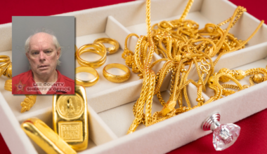 Woman finds her stolen jewelry at a Cape Coral pawn shop, house cleaner arrested