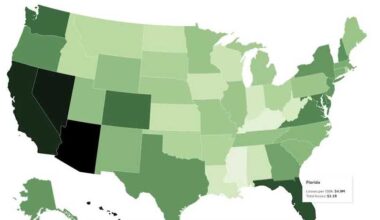 Florida ranks high in fraud cases and losses