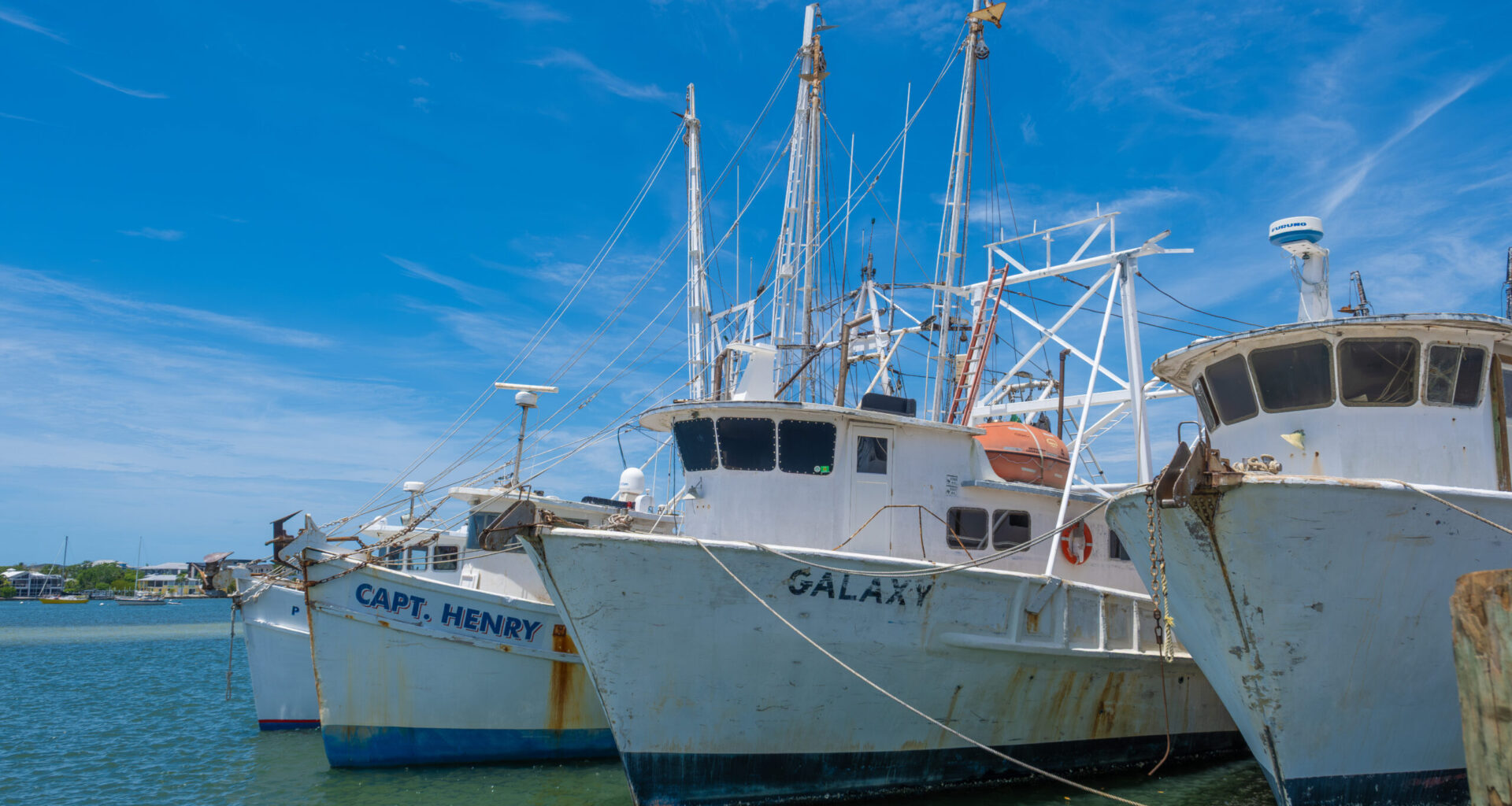 Trouble in the Trawls - Florida Weekly
