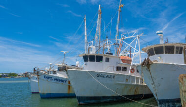 Trouble in the Trawls - Florida Weekly