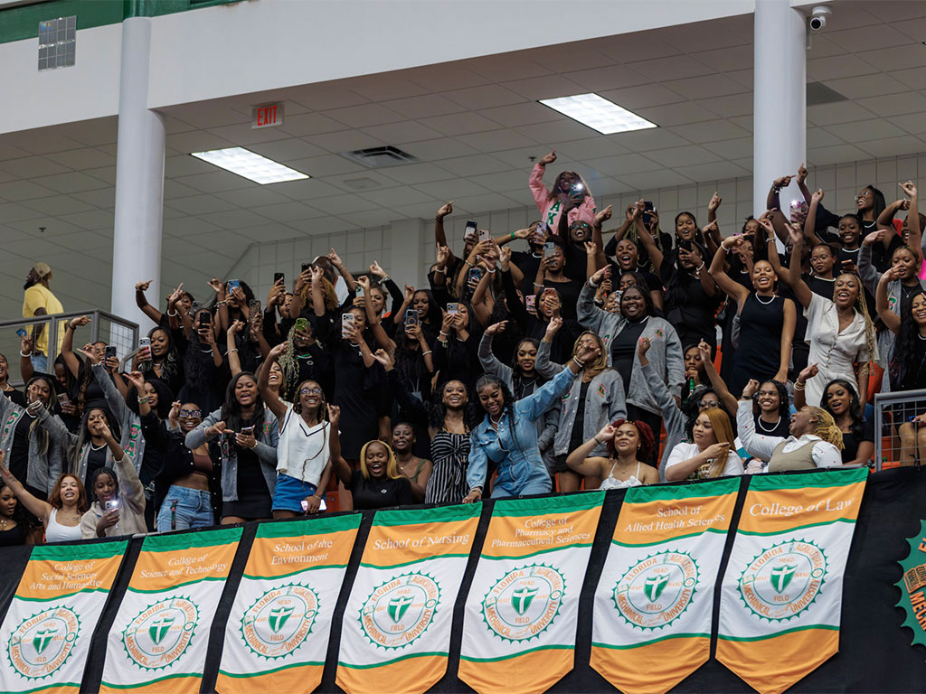 Screaming crowd of supporters