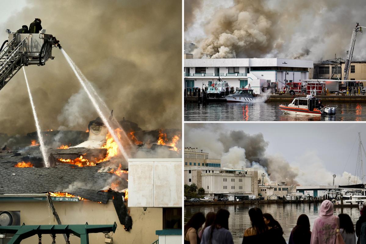 Massive 2-alarm fire engulfs science lab at University of South Florida St. Petersburg: 'Total devastation'