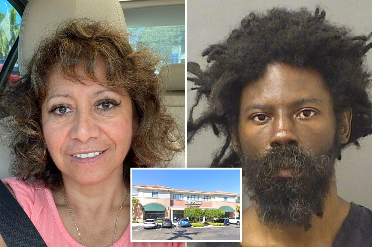 Florida mall where homeless man murdered shopper had 'pattern' of incidents: lawsuit