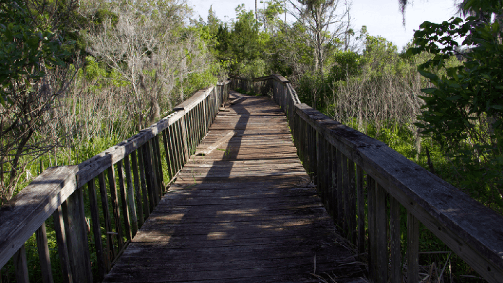 Jacksonville to remove damaged Northeast Creek Park boardwalk
