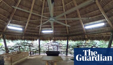 Animal welfare violations swarm Miami zoo owned by ex-drug kingpin in Tiger King | Miami