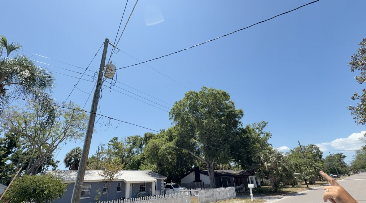 Gem said the palms are near secondary, 120-volt and 240-volt wires