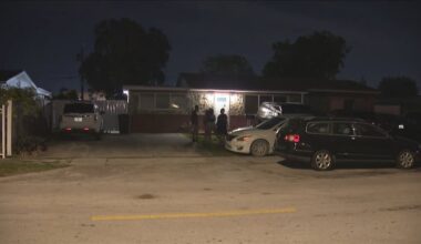 Woman airlifted to hospital after being attacked by dog in Hialeah; victim’s son arrested