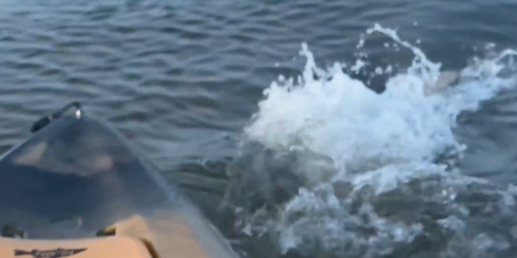 VIDEO: 'Monster' bull shark knocks into fisherman's kayak in Florida