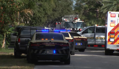 2-year-old’s death leads to arrest of St. Pete mom who let kids play ‘unsupervised’: FHP