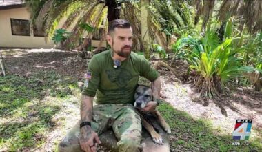 Service dog owned by military vet helps sniff out marijuana brick that washed ashore at Hanna Park