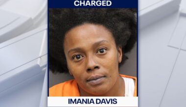 Florida woman charged after disturbing video shows dog being thrown and kicked: HCSO