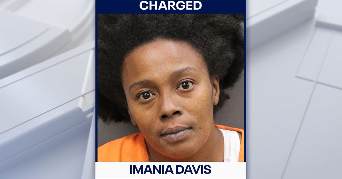Florida woman charged after disturbing video shows dog being thrown and kicked: HCSO
