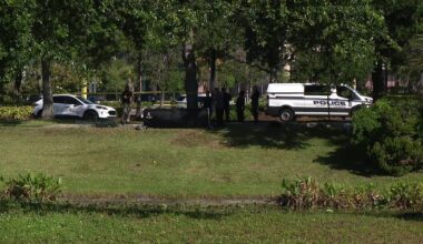Man found dead in retention pond near International Plaza in Tampa, TPD investigating