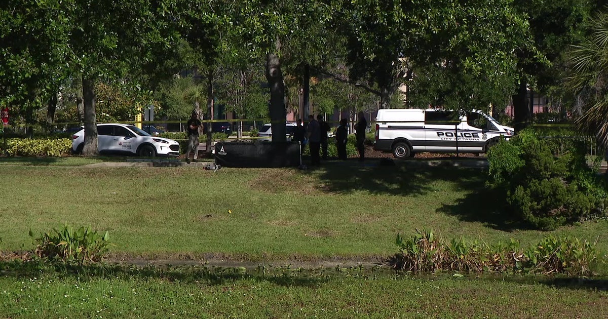 Man found dead in retention pond near International Plaza in Tampa, TPD investigating