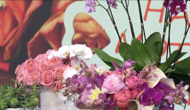 Simple tips that will help your Mother’s Day flowers last longer