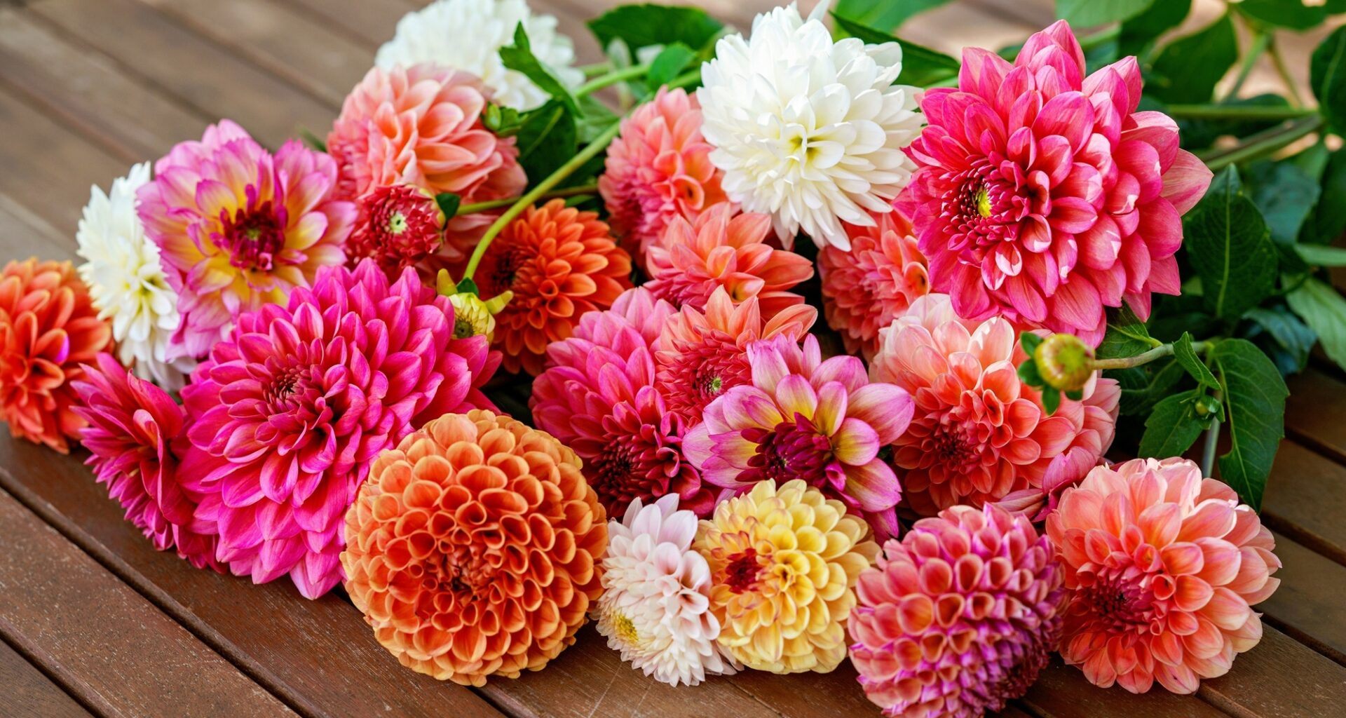 Lowe’s is Giving Away Free Flowers for Mother’s Day in Miami Tomorrow Only