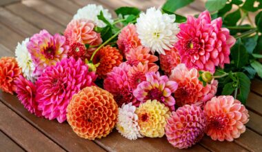 Lowe’s is Giving Away Free Flowers for Mother’s Day in Miami Tomorrow Only