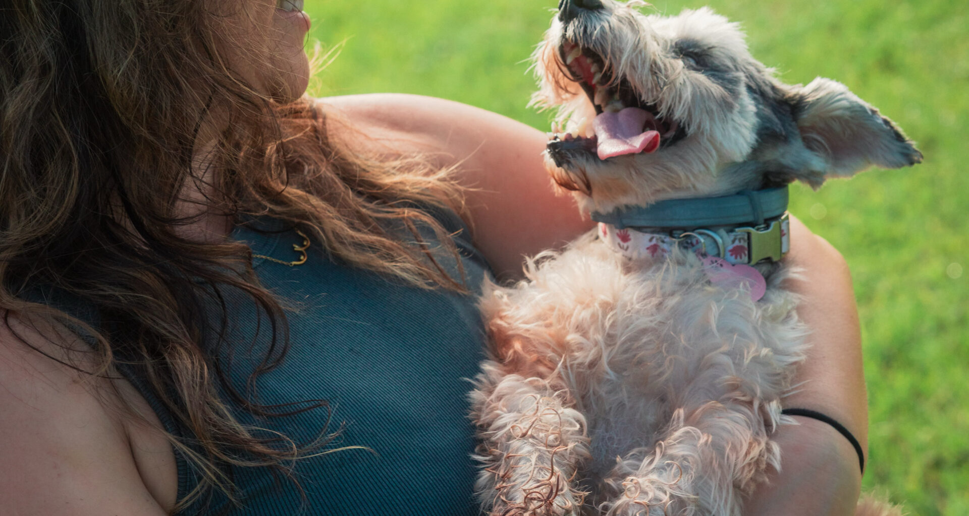 Why Valrico And Lithia Pet Parents Are Choosing Local, Licensed, Pet Care