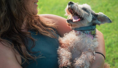 Why Valrico And Lithia Pet Parents Are Choosing Local, Licensed, Pet Care