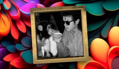 Where is Michael Jackson’s chimp Bubbles? The Florida retirement of a Hollywood legend