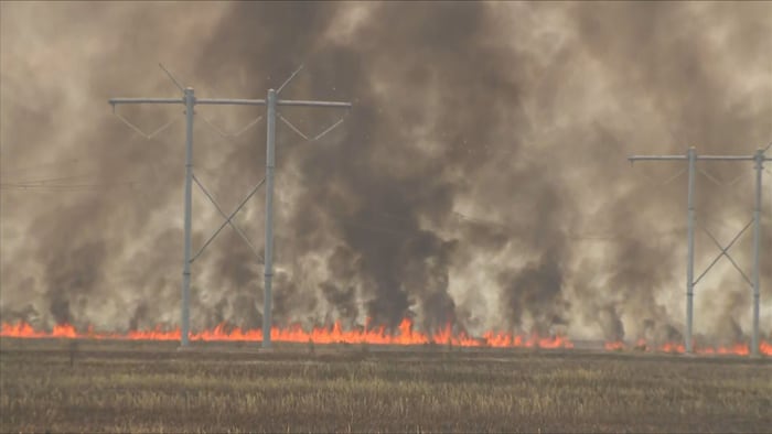 Brush fire ignites in western Broward County