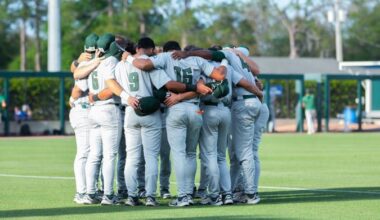 Dolphins Fall in Rubber Game vs. Stetson, 9-6