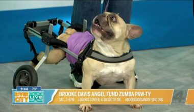 Brooke Davis Angel Fund Zumba Paw-ty