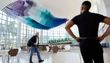 A tour of the most eye-catching art
