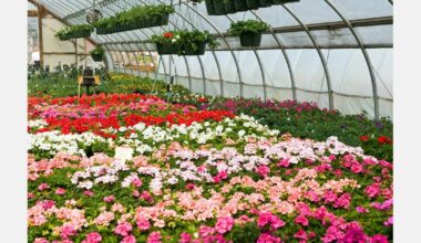 That Flower Feeling announces Fort Lauderdale consumer activation and volunteer call
