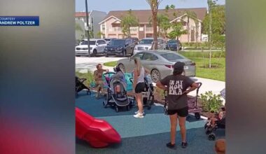 Video shows car drive on sidewalk at Florida park