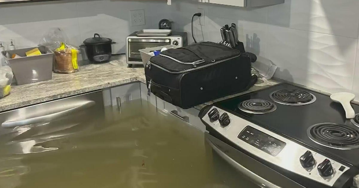 South Florida homeowners weigh risks as some go without insurance ahead of hurricane season
