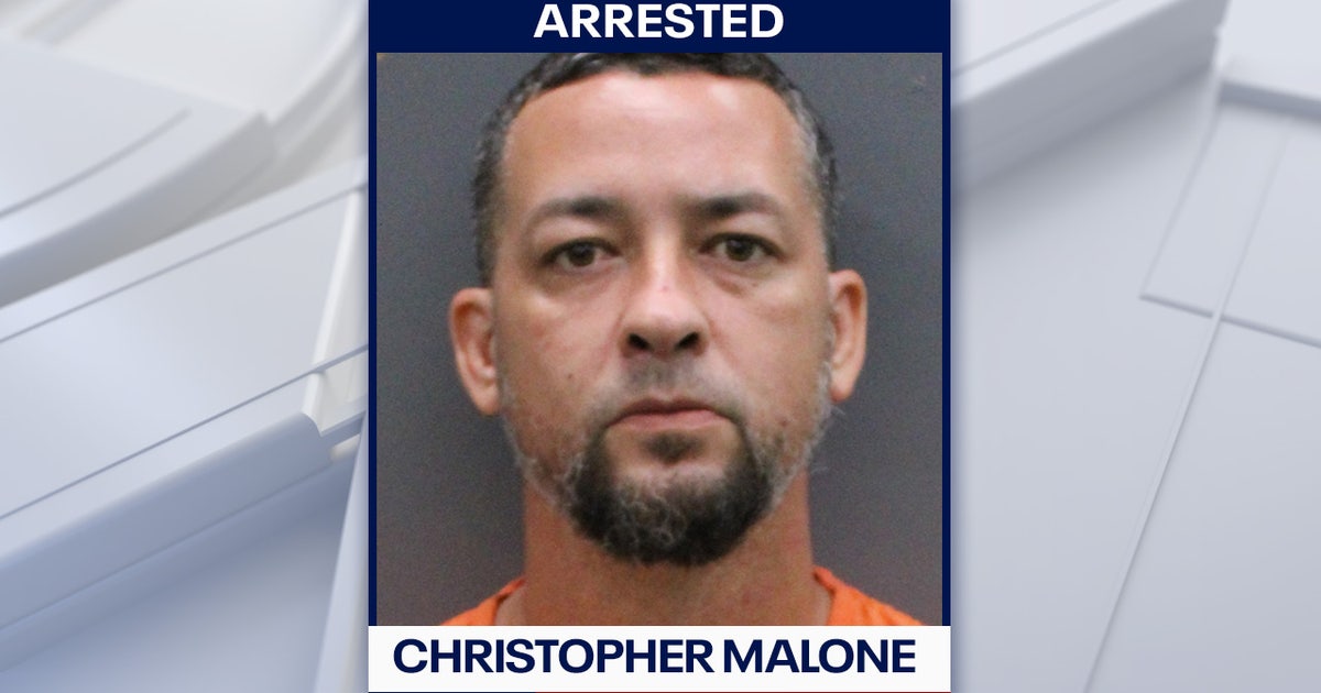 Tampa man accused of killing family Chihuahua while intoxicated