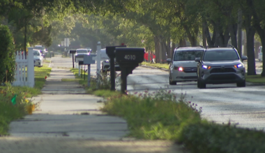 South Tampa residents clash over El Prado Boulevard redesign project: 'It's absolute chaos'