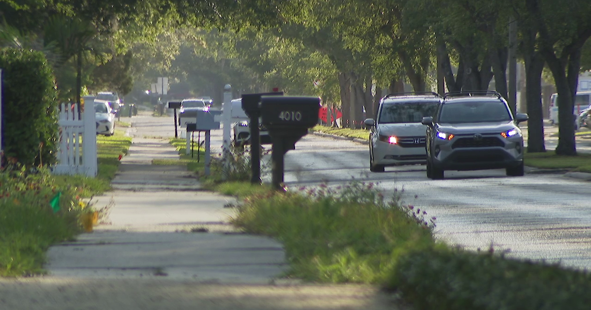 South Tampa residents clash over El Prado Boulevard redesign project: 'It's absolute chaos'