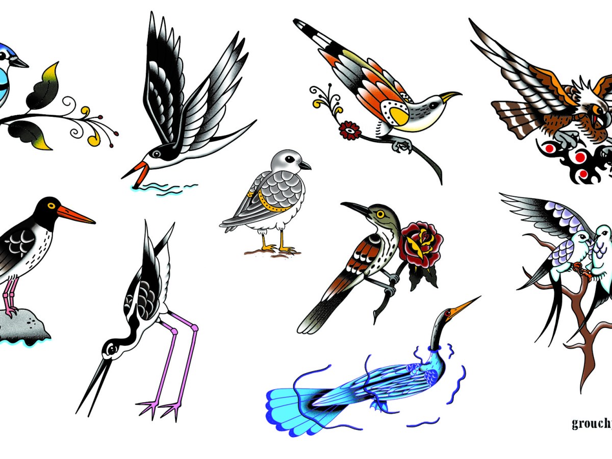 A St. Pete artist is tattooing every Florida bird to make a field guide