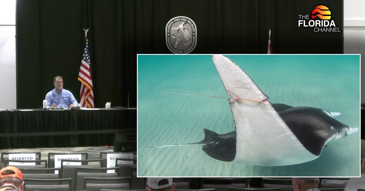 FWC approves new restrictions on giant manta ray captures in Florida after viral video sparks public outcry