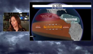 ‘El Niño likely to emerge soon:’ Here’s what it means for Florida