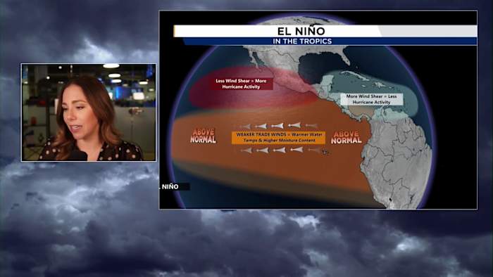 ‘El Niño likely to emerge soon:’ Here’s what it means for Florida
