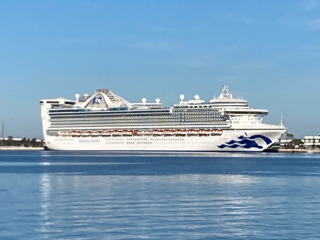 Over 100 sick from norovirus on Princess Cruise ship that departed from Port Everglades – Sun Sentinel