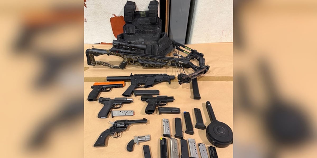 Convicted felon arrested with multiple weapons in Hillsborough County