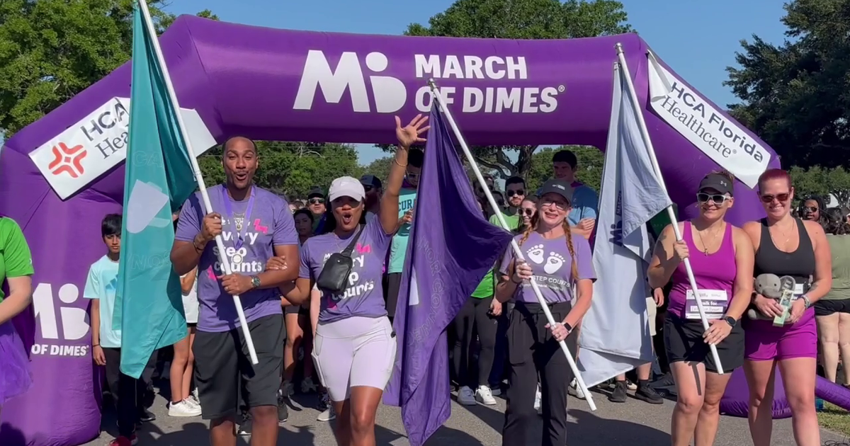 March of Dimes walk brings Tampa Bay families together to raise awareness for premature births
