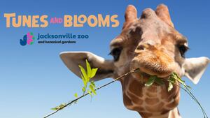 Enjoy live music and themed nights at Jacksonville Zoo’s Tunes and Blooms