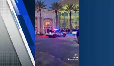 Pop Royal frenzy forces shutdown of Swatch store at The Mall of Millenia