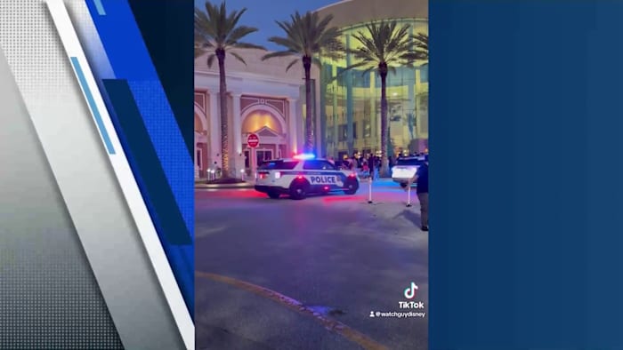 Pop Royal frenzy forces shutdown of Swatch store at The Mall of Millenia