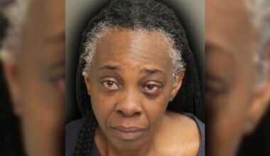 Son tells 911 his mom was drunk driving at 100 mph, Orlando police say