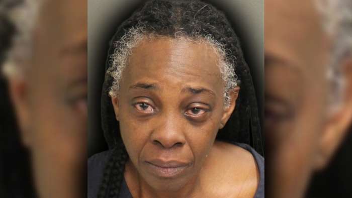 Son tells 911 his mom was drunk driving at 100 mph, Orlando police say