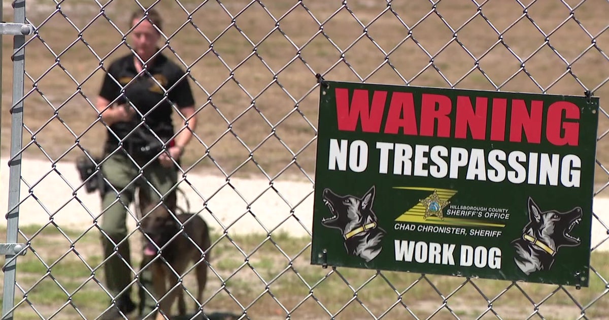 Hillsborough County Canine Training Complex: New $6 million facility opens