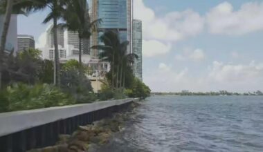 Biscayne Bay's health is still "in danger" despite report showing slight improvement, officials say